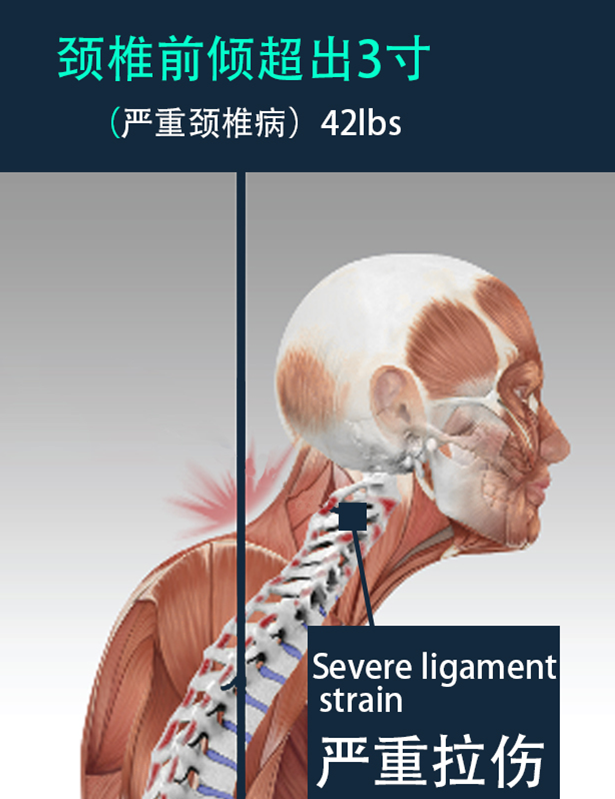 Anatomy for web 3